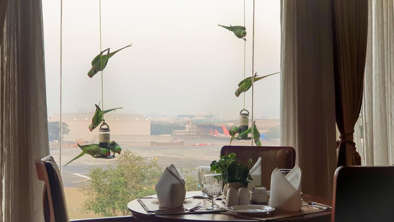 The Orchid Hotel Mumbai Vile Parle Exterior photo Parrots at the airport